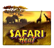 safariheat